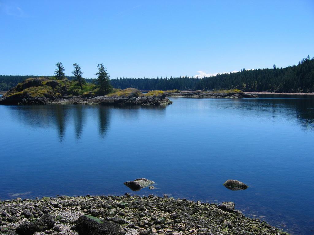 Gowlland Harbour Resort Heriot Bay Pokoj fotografie